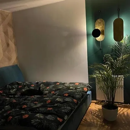 S&f Apartament